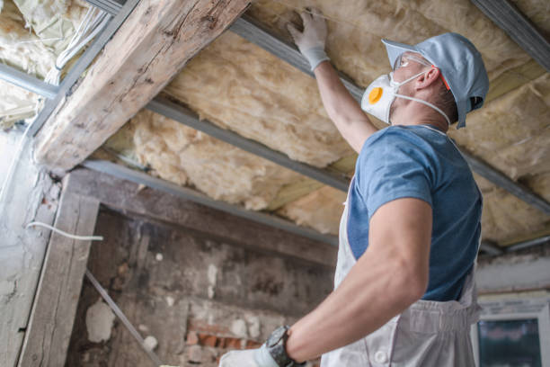Best Blown-in Insulation in Desoto, TX