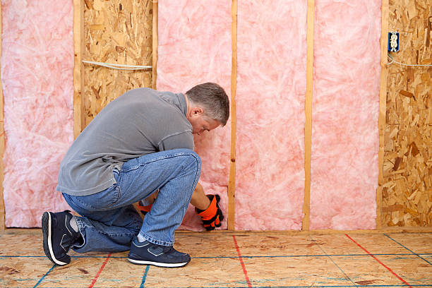 Best Insulation Maintenance and Repair in Desoto, TX